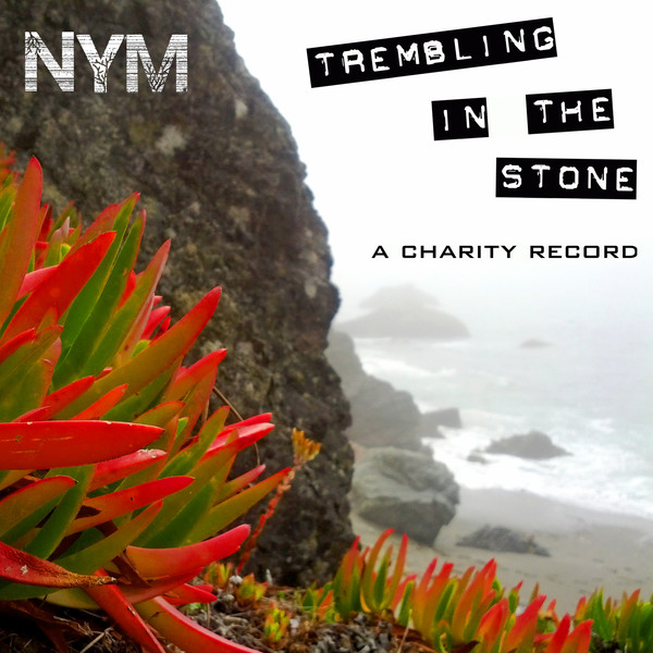 Trembling in the Stone - A Charity Record